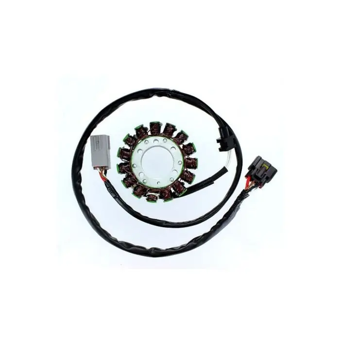 ElectroSport Stator ESG549 kawasaki (Stück) Top-Angebot