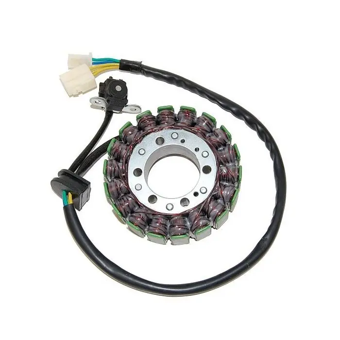 ElectroSport Stator ESG748 Suzuki (Stück) Letzte Chance