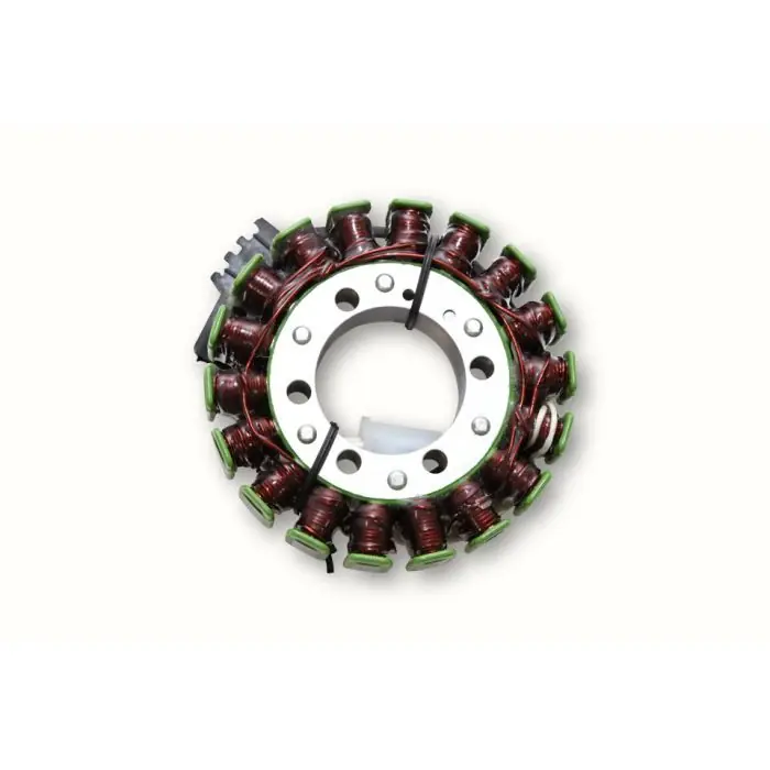 Ausverkauf ElectroSport Stator ESG795 yamaha (Stück)