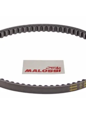 MALOSSI Keilriemen für CPI Oliver, Yamaha Aerox, Axis – 16,5 x 8 x 745mm Versand Am Gleichen Tag