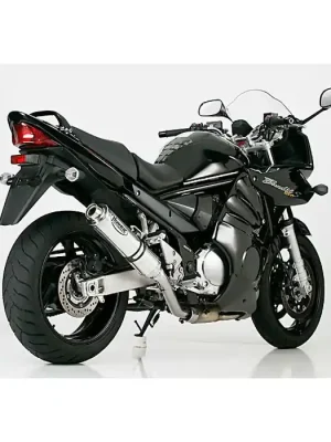 Begrenztes Angebot HURRIC Supersport Auspuff silber EG-BE passt für SUZUKI GSF 1200 Bandit(96-00)/GSF 1200 Bandit(01-03)/GSF 1200 Bandit S(96-00)/GSF 1200 Bandit S(01-03)