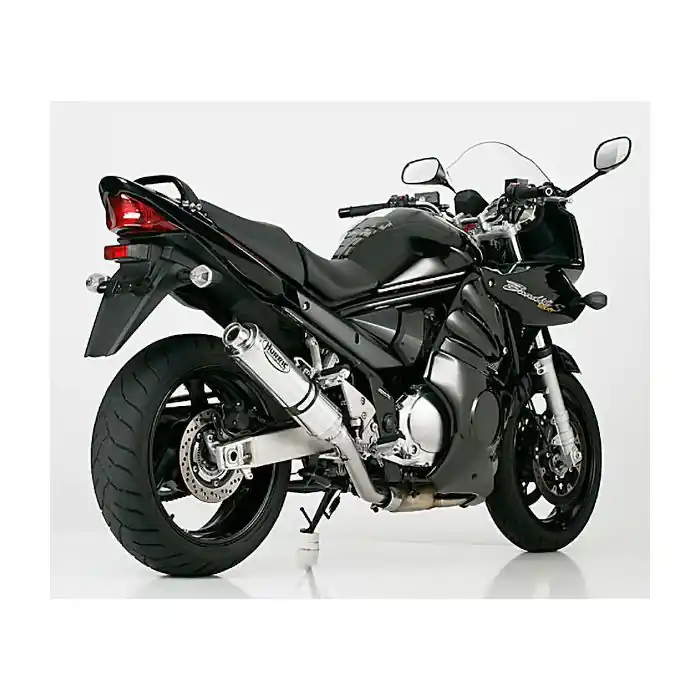 Begrenztes Angebot HURRIC Supersport Auspuff silber EG-BE passt für SUZUKI GSF 1200 Bandit(96-00)/GSF 1200 Bandit(01-03)/GSF 1200 Bandit S(96-00)/GSF 1200 Bandit S(01-03)