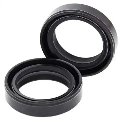 Simmerringsatz Gabel 55-106 Abverkauf