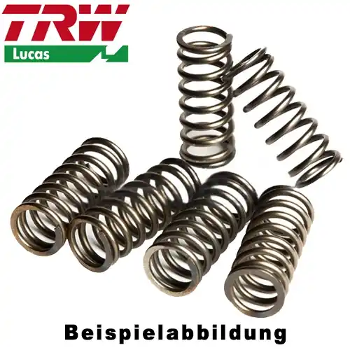 Echt Kupplungsfedern Set TRW / Lucas MEF364-4