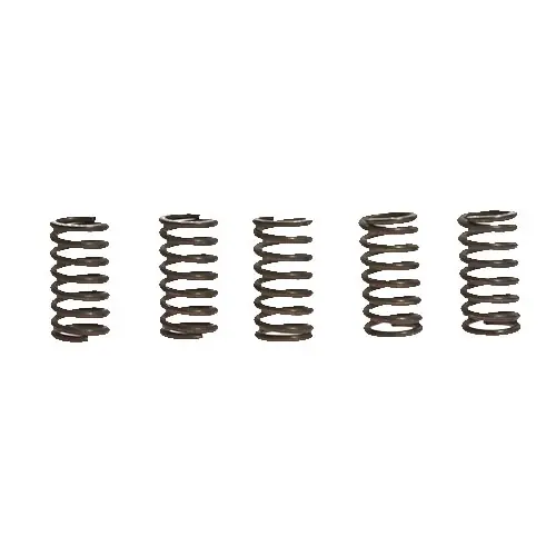 Kupplungsfedern verstärkt EBC CSK065 Online Kaufen